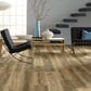Shaw Adventure HD Plus Accent Bamboo 7" x 48" Vinyl Plank, , large