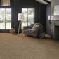 Anderson Tuftex Loom Carpet in Plateau, , large