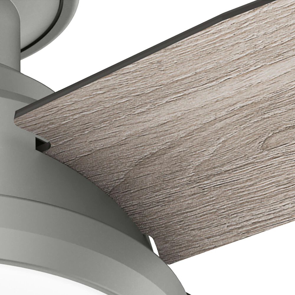 Hunter Dempsey Low Profile 44&quot; Ceiling Fan with Lights in Matte Silver, , large