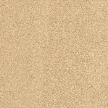 Dixie Home Neverland Carpet in Barley, , large