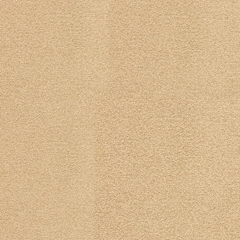 Dixie Home Neverland Carpet in Barley, , large