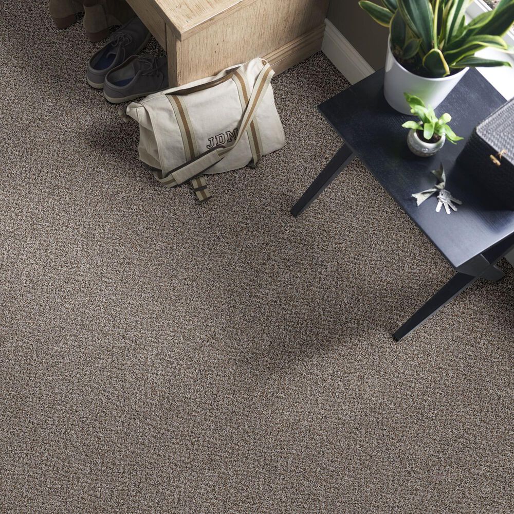 Philadelphia Mixed Essentials Carpet in Caldera, , large