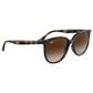 Rayban Glasses Sunglasses with Gradient Brown Lenses in Polished Havana, , large