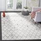 Safavieh Adirondack ADR132B-6 6" x 9" Ivory and Grey Area Rug, , large