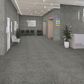 Dal-Tile Poke Smoke Flecks 24" x 24" Porcelain Tile, , large