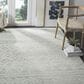 Safavieh Adirondack ADR107T 4" x 6" Slate and Ivory Area Rug, , large