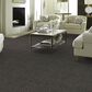 Philadelphia Making The Rules II Carpet in Boulder, , large