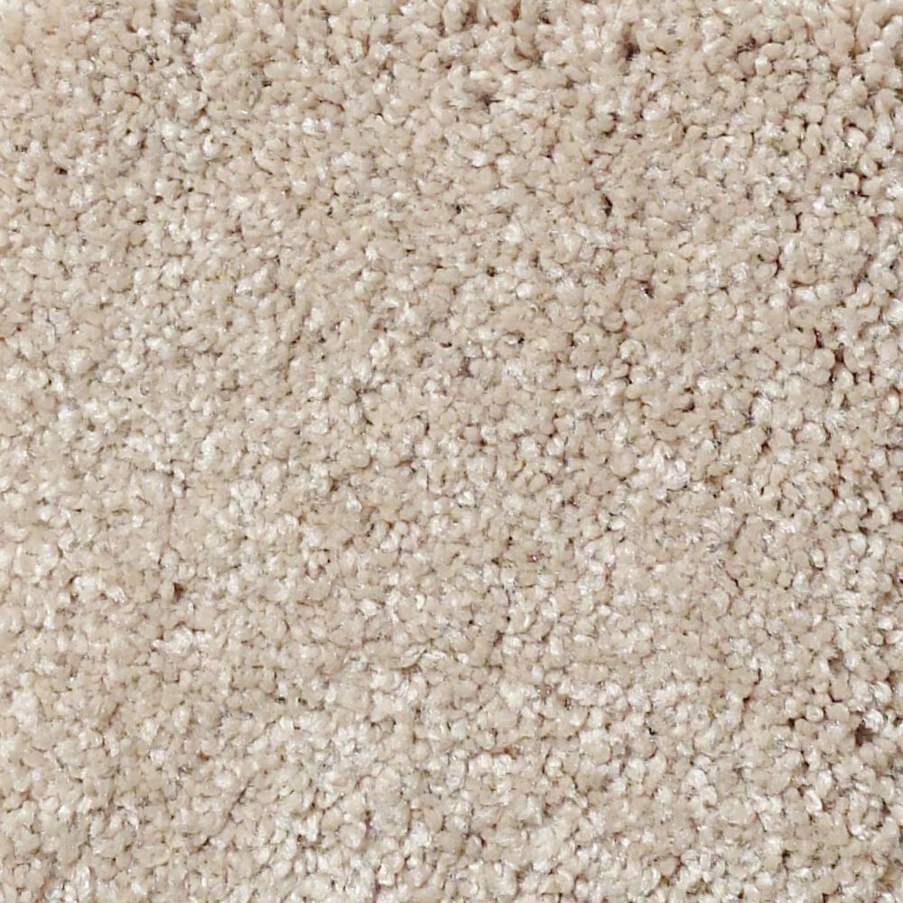 Shaw Foundations Take The Floor Texture Blue Carpet in Hickory, , large
