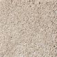 Shaw Foundations Take The Floor Texture Blue Carpet in Hickory, , large