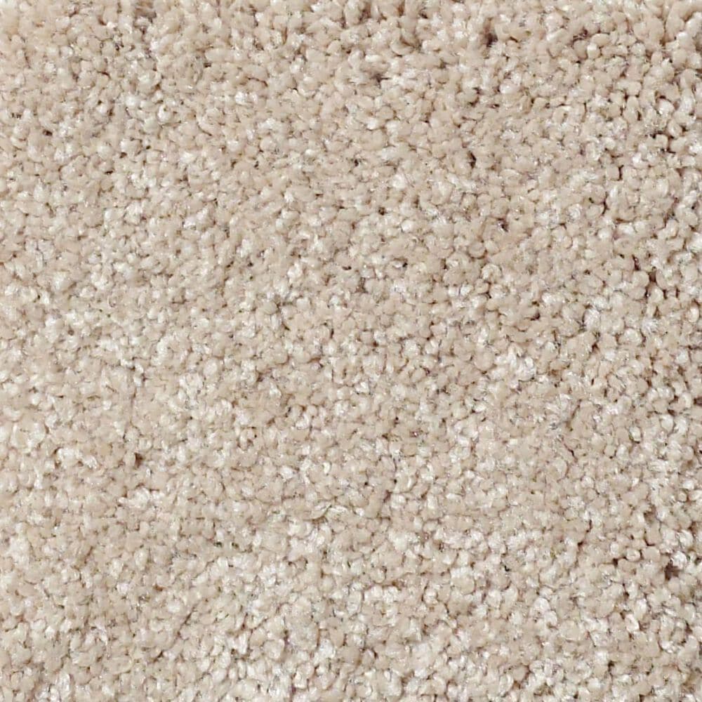 Shaw Foundations Take The Floor Texture Blue Carpet in Hickory, , large