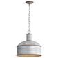 Golden Lighting Tinsmith 1-Light Mini Pendant in Aged Galvanized, , large