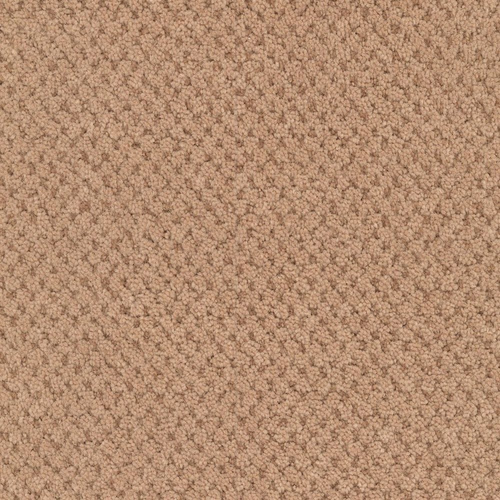 Masland Festivities Carpet in Terra Cotta, , large