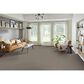 Phenix Sparta Carpet in Natural Beauty, , large