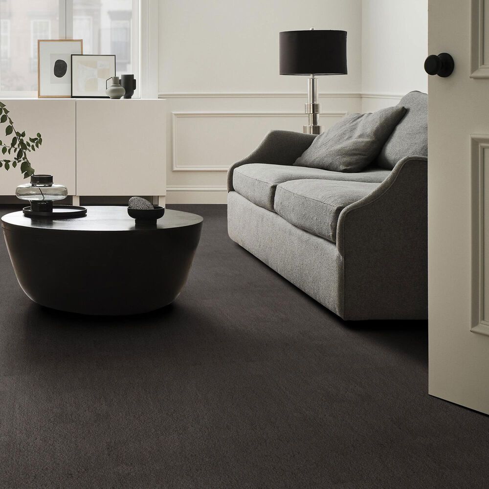 Anderson Tuftex Luxe Feel II Carpet in Armory, , large