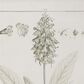 Maple and Jade 22" x 17" Leaves Framed Wall Art in Distressed Brown (Set of 2), , large
