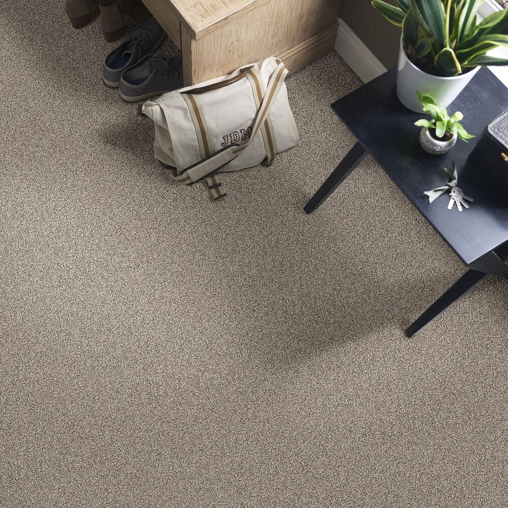 Shaw Influencer Carpet in Sandstone, , large