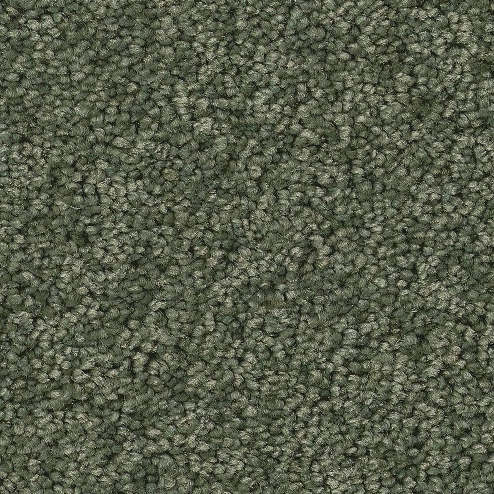 Anderson Tuftex Enchanting Carpet in Bereyl, , large