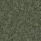 Anderson Tuftex Enchanting Carpet in Bereyl, , large