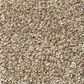 Shaw Find Your Comfort TT Blue Carpet in Camping Trip, , large