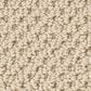 Anderson Tuftex Gracious Carpet in Creamy, , large