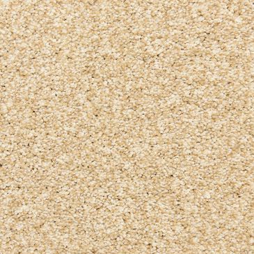 Dixie Home Natural Beauty Carpet in Champagne, , large