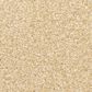 Dixie Home Natural Beauty Carpet in Champagne, , large