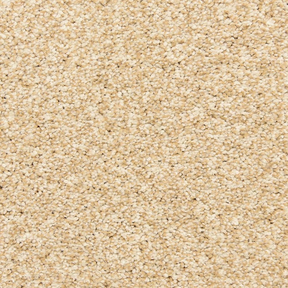 Dixie Home Natural Beauty Carpet in Champagne, , large
