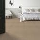 Anderson Tuftex West Creek Carpet in Terrazo, , large