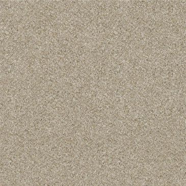 Shaw Making The Rules II 15" Carpet in Linen, , large