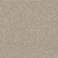 Shaw Making The Rules II 15" Carpet in Linen, , large