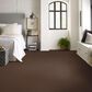 Shaw Las Cruces Carpet in Wood Grain, , large