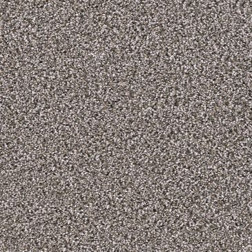 Dream Weaver Trendsetter II Carpet in Sageview, , large