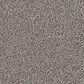 Dream Weaver Trendsetter II Carpet in Sageview, , large