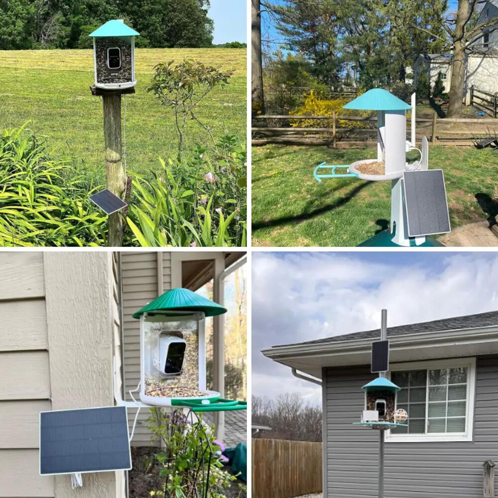 Birdfy Bird Feeder with Smart Camera and Solar Panel in Blue and White, , large