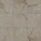 Shaw Astoria Mocha 23.5" x 23.5" Polished Porcelain Tile, , large