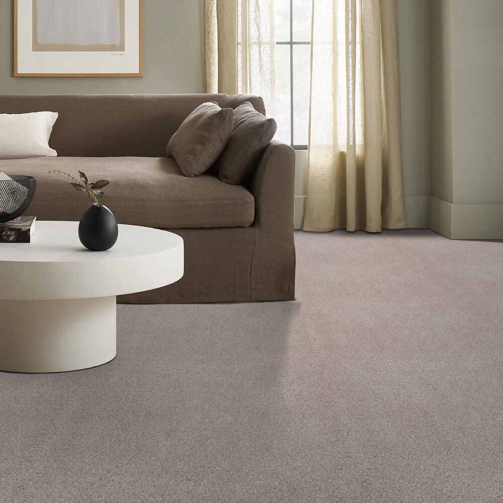 Anderson Tuftex Sumptuous Texture Carpet in Valley, , large