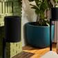 SONOS Era 100 SL in Black, , large