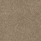 Dixie Home Gentle Wind Carpet in Walking Path, , large