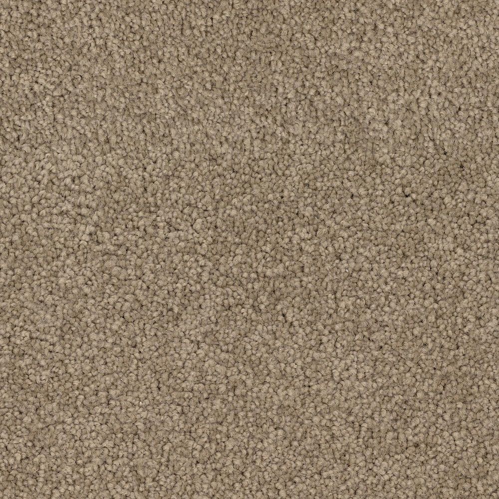 Dixie Home Gentle Wind Carpet in Walking Path, , large