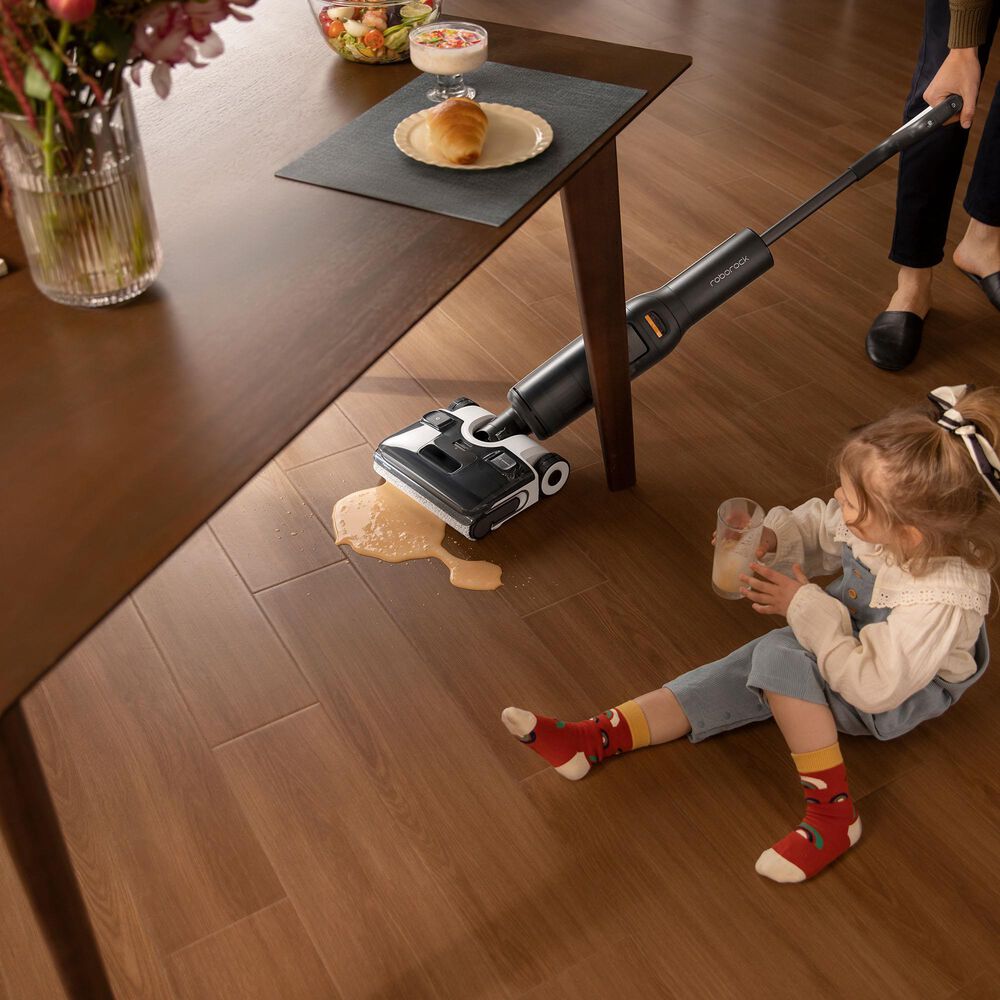 Roborock F25 Ace Wet and Dry Vacuum Cleaner in Black, , large