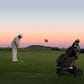 Navee Birdie 3X Electric Golf Push Cart in Black, , large
