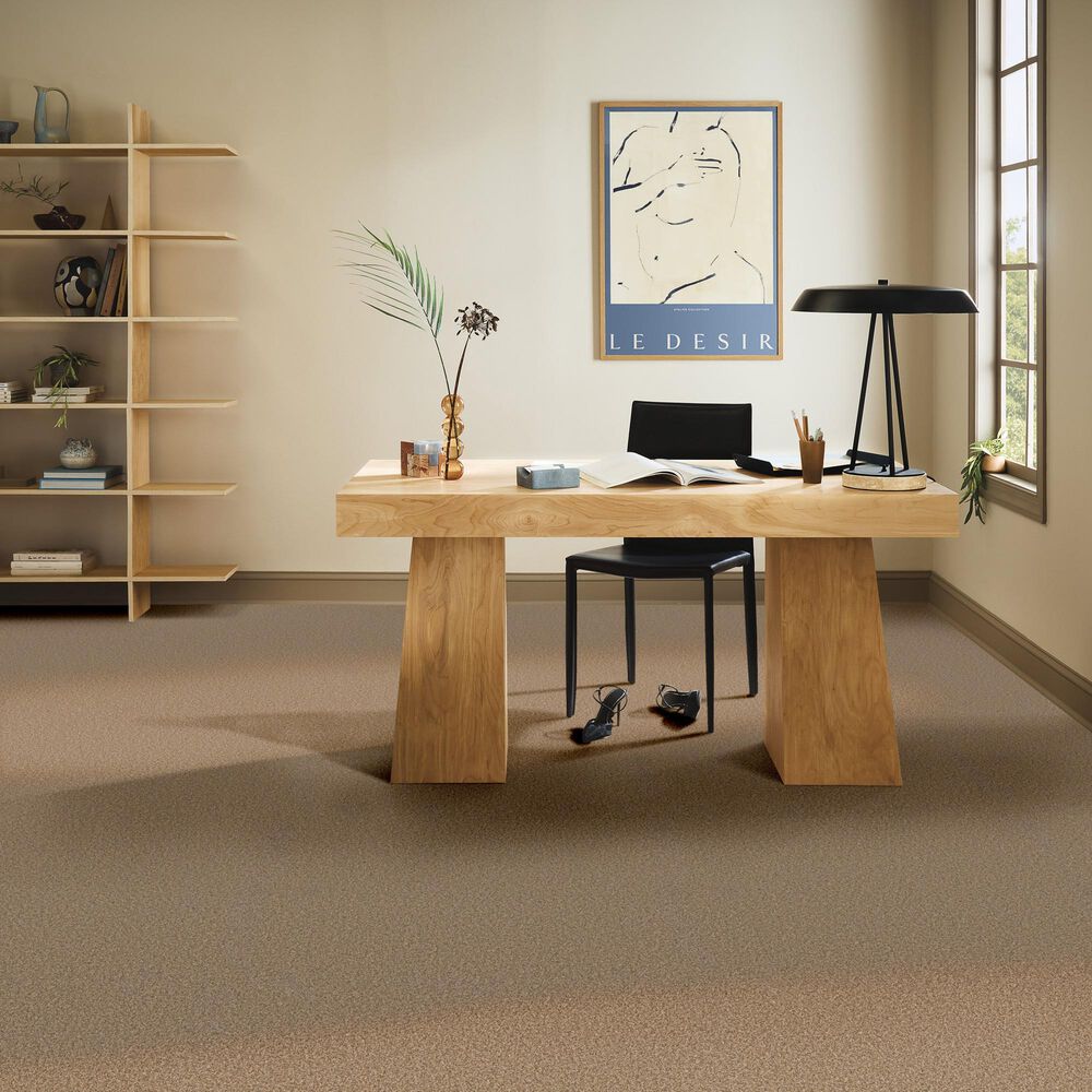 Anderson Tuftex Wyndham Estate Carpet in Toffee, , large