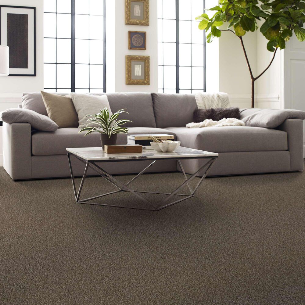 Shaw Renewed Energy II Carpet in Freckles, , large