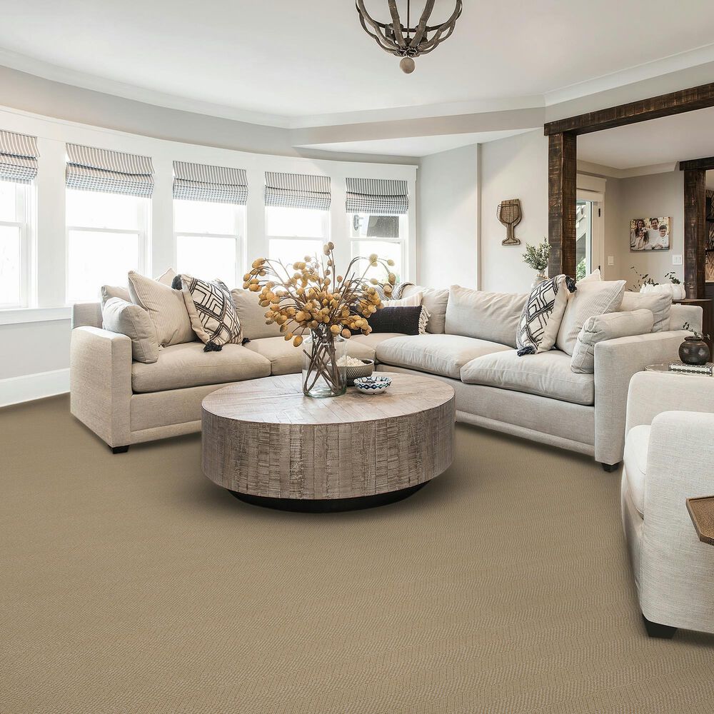 Karastan Stippled Carpet in Carolina, , large