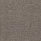 Philadelphia Mixed Essentials Carpet in Caldera, , large