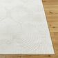 Surya Alder ALD-2323 1"11" x 3"9" Cream and Ivory Area Rug, , large