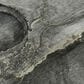 Dalyn Rug Company Odyssey 1"8" x 2"6" Charcoal Area Rug, , large