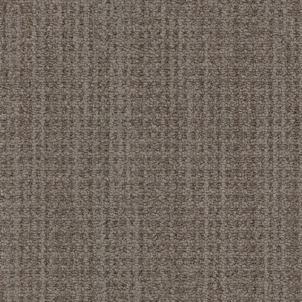 Masland Take It Easy Carpet in Mt. Timpanogos, , large