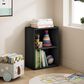 HOMLUX 2-Tier Cube Compact Storage Shelf Organizer Bookcase in Blackwood, , large