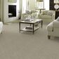 Anderson Tuftex Renoir Carpet in Half Moon, , large